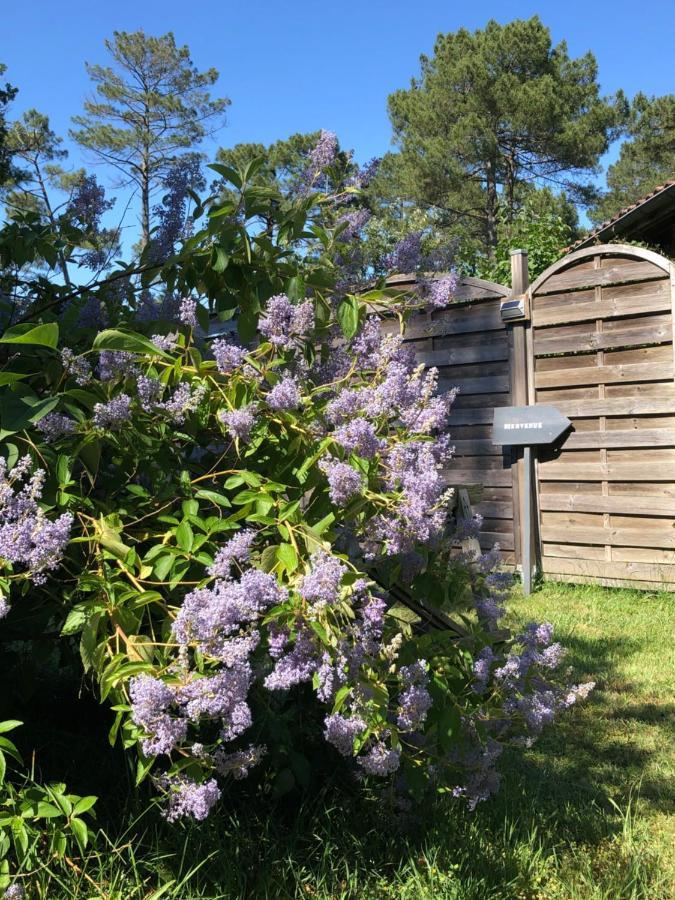 Escale Sous Les Pins Salles (Gironde) Exterior foto